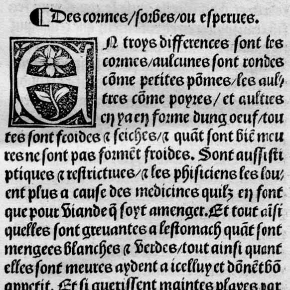 Moretum et coulindrum