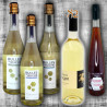 Lot de dégustation : 6 hydromels